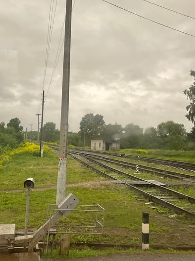 The image depicts an overcast railway scene in the city of Кварса, Russia. The sky is uniformly covered with light grey, textured clouds, suggesting a dull or recently rainy day.

In the immediate foreground, to the right, a black and white striped wooden marker post is embedded in damp, muddy ground with sparse green grass. To its left, a multi-part grey metal mechanism is visible, comprising a horizontal section, an angled lever-like component with two bolt holes, and a protective railing. Adjacent to this, a dark, bell-shaped object is mounted atop a thin grey pole, partially obscured by the foreground structure.

The midground is dominated by multiple parallel railway tracks, at least five visible, extending diagonally from the lower right towards the upper left, curving gently into the distance. The tracks appear wet. Abundant green grass and patches of yellow flowering plants grow between and alongside the tracks. A prominent, tall, light-grey concrete utility pole with a red and white band near its base stands centrally, supporting multiple thin overhead wires that stretch across the upper left sky. Further along the tracks on the left, several darker wooden utility poles with crossarms and wires are visible. Another black and white striped marker post is situated between two sets of tracks in the mid-distance. To the right of the tracks, a small, light-colored single-story building with a dark sloped roof and a small blue-roofed extension or canopy stands amidst green vegetation.

The background consists of a dense line of various green trees, some appearing partially veiled by mist or atmospheric moisture. The cloudy sky extends to the horizon.