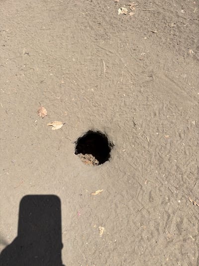 The image shows a dark, circular hole in the ground, possibly a burrow or a sinkhole, in a sandy or dirt area. The ground is covered with small debris such as twigs and dried leaves. There are also some faint tracks visible on the ground, possibly from footprints or animal activity. In the bottom left corner of the image, a dark shadow of a person holding a phone is visible, indicating that the photograph was taken by someone using a mobile device. The scene is outdoors, and the lighting suggests it is daytime. Without further information or context, it is not possible to determine the exact location in Aliso Viejo, United States of America.