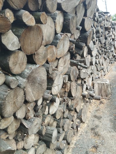The image shows a large stack of cut logs piled high against a grey, gravelly surface. The logs vary in size and diameter, with many displaying prominent growth rings and bark textures. Some logs are rough-cut, while others show smoother surfaces. Scattered sawdust and small wood chips are visible around the base of the pile and on the ground. The background is partially obscured by the logs, but hints of greenery and a faint sky are discernible. The scene appears to be outdoors, possibly in a storage area or a wooded environment. The location is identified as Vinkivtsi, Ukraine. There are no people or animals present in the image.