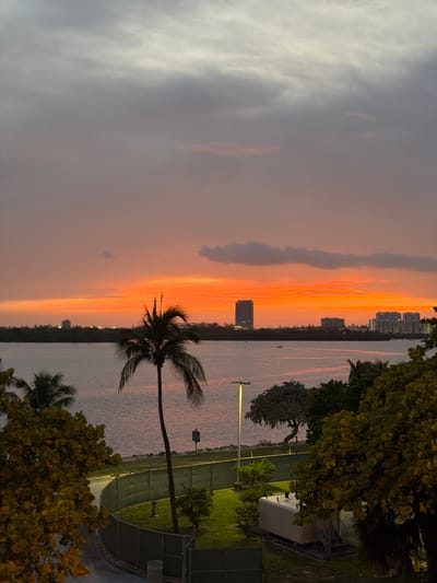 This image captures a scenic sunset over the water in Bal Harbour Village, United States of America. The sky is a vibrant display of oranges and purples, transitioning into darker gray clouds at the top. A tall palm tree stands prominently in the foreground, silhouetted against the colorful sky. In the mid-ground, a body of water reflects the twilight hues, with a distant shoreline dotted with buildings. A singular, tall, rectangular building stands out on the horizon. The foreground features lush green foliage and a paved area bordered by a green fence. A lamppost is also visible on the right side of the frame. The overall scene depicts a tranquil evening setting.