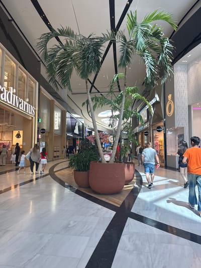 The image depicts the interior of a modern shopping mall, specifically the Leidschendam, Netherlands location. The scene is brightly lit, with a high ceiling featuring geometric patterns and integrated lighting. Large potted palm trees are strategically placed throughout the walkway, adding a touch of greenery. The floor is a polished marble with contrasting dark geometric inlays.
Several individuals are visible, walking in different directions. In the foreground, a group of three people, two adults and a child, are walking away from the camera. To the right, a man in a blue shirt and denim shorts is walking towards the camera, and behind him, a woman in dark clothing and a person in an orange shirt are also walking away.
The shops lining the mall are visible, with illuminated signage. Notably, the "Stradivarius" store is prominent on the left, and further down, "Pandora" and "Calzedonia" are identifiable. The overall impression is one of a bustling, contemporary retail environment.