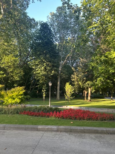 The image shows a park in Oviedo, Spain. In the foreground, there is a paved walkway with a concrete curb separating it from a grassy area. Beyond the grass, a bed of vibrant red flowers is visible, bordered by a low metal fence. Further back, a lamppost stands tall in a sun-dappled lawn. The park is filled with lush green trees of various sizes, some casting long shadows on the grass. The sky is a clear blue. The scene suggests a peaceful day in an urban park setting, with the sunlight highlighting the natural beauty of the foliage and flowers.