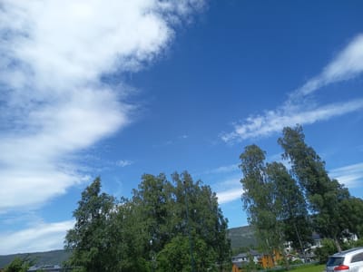 A bright, wide-angle shot captures a clear blue sky with scattered white clouds over Drammen, Norway. The foreground is dominated by lush green trees, some of which are tall and slender. In the background, residential buildings with distinctive yellow and gray facades are visible, nestled against a tree-covered hillside. A silver car is parked on the right side of the frame, its presence suggesting a residential or public area within the city. The scene is peaceful and appears to be set on a pleasant day.