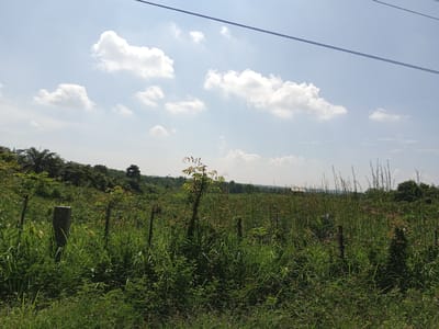The image depicts an outdoor scene in Kebonbaru, Indonesia. In the foreground, there is overgrown green grass and vegetation, with several wooden posts and one concrete post, suggesting a fence or boundary marker. In the midground, there are more tall grasses and some scattered trees, including a palm tree on the left. A small building with a light-colored roof is visible in the distance, partially obscured by trees. The background consists of a lush, green, and hilly landscape covered in dense vegetation. Overhead, the sky is bright blue with scattered white clouds. Two dark power lines are visible stretched across the upper portion of the image.