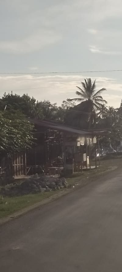 A road curves gently in the foreground of this outdoor, medium-range shot. The road is paved and appears to be in decent condition, with a grassy shoulder on the left. To the left of the road, a small, open-air shelter with a corrugated metal roof sits on a raised platform. The shelter is constructed with wooden posts and has a wooden fence on the left side. Inside the shelter, there are tables and chairs. A pile of large rocks is situated in front of the shelter, near the grassy area. Behind the shelter, lush green trees and vegetation are visible, and further in the background, palm trees stand tall against a hazy sky. The overall lighting suggests it is either early morning or late afternoon.