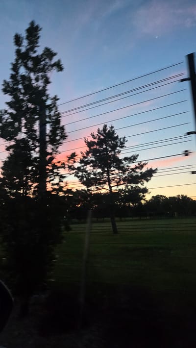 The image captures a sunset scene with a dusky sky displaying hues of pink, orange, and blue. In the foreground, silhouetted trees are visible, some appearing blurred due to motion. A series of parallel wires stretch horizontally across the frame, intersecting the trees and the sky. A fence line runs through the middle ground, with a grassy field behind it. In the distance, a line of trees forms a dark silhouette against the horizon. The overall impression is that of a roadside view, possibly captured from a moving vehicle. The location is not explicitly stated in the image, but if it were in the city of Vaughan, Canada, it would depict a rural or semi-rural area within the city limits, perhaps near agricultural land or parks, common in some parts of Vaughan.