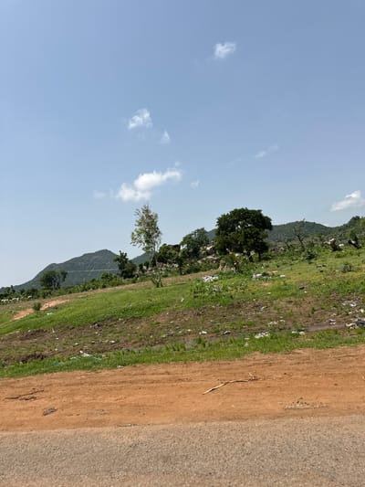 The image captures a rural landscape, likely in or around Lankoviri, Nigeria. The foreground features a dirt road, with its orange-brown surface showing signs of wear and tear, and a strip of asphalt road at the very bottom. Beyond the road, a gently sloping, grassy field rises towards a hilly backdrop. Scattered across the field are patches of bare, muddy earth, interspersed with green grass and evidence of litter, including plastic bags and other debris.

A few trees are dotted across the landscape, varying in size and density. On the left side of the frame, a small herd of white animals, possibly sheep or goats, grazes in the distance. The middle ground is dominated by undulating green hills covered in scrub and trees, with large rock formations visible on some slopes. The sky above is a clear, pale blue with a few wispy white clouds. The overall impression is of a semi-arid, rural environment with signs of human habitation and impact, including agricultural activity and waste disposal.
