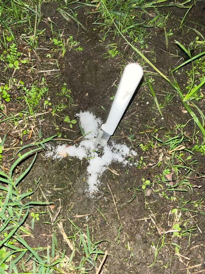 The image presents a close-up view of damp, dark soil covered with patches of green grass and small weeds. A white-handled knife with a silver blade is prominently featured, stuck vertically into the ground. Its tip penetrates a deliberate, cross-shaped arrangement of white granular substance, which resembles salt or sugar. The substance is spread directly on the soil.
The overall lighting is dim, suggesting either nighttime or low-light conditions, possibly illuminated by an artificial light source or flash, which creates a somewhat stark effect. The soil appears moist, indicating recent rain or high humidity. No people are visible, nor are there any discernible emotions conveyed. The specific type of vegetation provides general cues of an outdoor, unkempt area, consistent with a setting in locations like Florida or Argentina, as provided in the context. There is no visible text in the media file. The arrangement of the knife and the cross-shaped substance suggests a symbolic or ritualistic action has taken place.