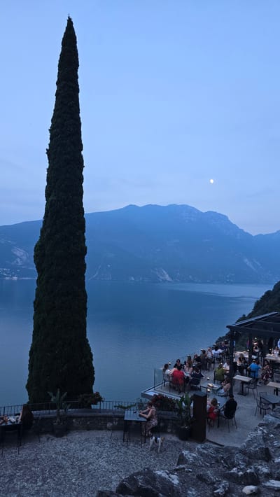 This is a vertical, wide-angle shot of a scenic outdoor dining area overlooking a large body of water, likely a lake, with mountains in the background. The time appears to be dusk or early evening, with a clear sky and a faint moon visible. The overall mood is serene and tranquil.

In the foreground, a tall, dark green, conical tree dominates the left side of the frame. To the right, a stone-covered embankment rises, leading to a terrace where tables and chairs are set up. A significant number of people are seated at these tables, some dining, others conversing, creating a lively yet relaxed atmosphere. The people are dressed in casual summer attire.

The terrace overlooks the expanse of water, which reflects the dim light and the surrounding mountains. The mountains, in shades of blue and grey, rise majestically in the distance. A structure with a dark roof, possibly a restaurant or bar, is visible along the edge of the terrace. Plants and flowers, including red blooms, are strategically placed to enhance the dining experience. A few individuals are standing or moving around the terrace, including a woman bending over a table and a dog on a leash. The stone texture of the embankment and the paving of the terrace provide a sense of permanence and natural beauty.

There is no visible text in the image. The scene suggests a popular tourist destination in Riva del Garda, Italy, where visitors can enjoy a meal or drinks while appreciating a breathtaking natural landscape. The lighting and the presence of diners indicate a pleasant evening activity.