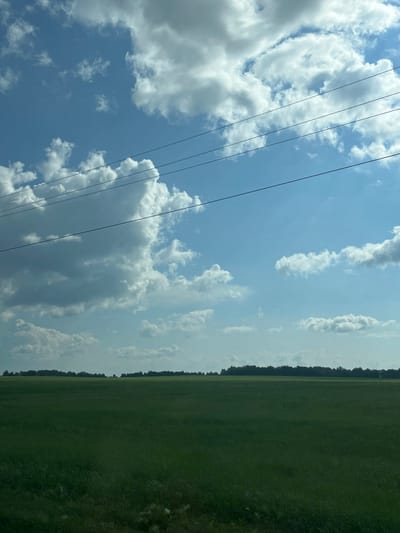 A wide shot shows a vast, green field in the foreground, stretching to a distant tree line that forms the horizon. Above, a bright blue sky is dotted with voluminous white clouds. Several thin, black power lines cut horizontally across the upper portion of the frame, obscuring some of the clouds and sky. The image appears to be a landscape view.
