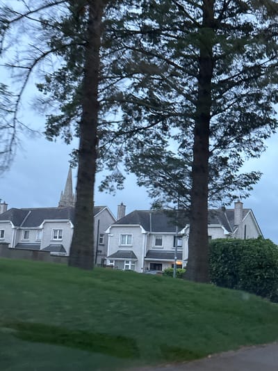 The image, taken in Rathvilly, Ireland, depicts a residential area under an overcast sky. In the foreground, a sloping green lawn dominates the lower half of the frame, with a portion of a paved road visible on the right. Behind the lawn, a row of light-colored, two-story houses with dark pitched roofs is visible. Many of the houses have dormer windows and chimneys. A tall church spire, likely part of a church building, rises above the rooftops in the background. Two large trees with dark trunks and dense foliage stand prominently in the middle ground, partially obscuring the houses and the spire. The lighting suggests it is either early morning or late evening. No people or animals are visible in the scene.