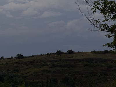 The image shows a landscape with a hilly terrain under a cloudy, dark sky. The foreground features some vegetation and tree branches, with the right side of the frame dominated by a tree with green leaves and bare branches extending upwards. The middle ground displays a sloping hill covered in dry grass and scattered bushes, with several trees on its crest. A dark, eroded embankment runs horizontally across the mid-slope. The background consists of a muted, overcast sky with visible cloud formations. The scene appears to be an outdoor natural environment.