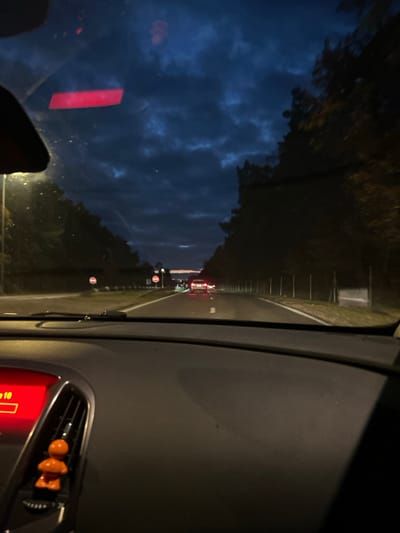 The scene depicts a view from the interior of a vehicle traveling on a paved road in the city of Haguenau, France, during dusk or early night hours. The perspective is forward-facing through the windshield.
**Environment:** The sky is dark blue with visible clouds, and a lighter horizon line is present in the distance. Dense, dark trees line both sides of the road, extending into the background. A streetlamp on the left side of the road is illuminated. A metal guardrail is present along the left median, featuring two distinct "No Entry" signs (red circles with white horizontal bars). A fence or barrier runs along the right side of the road.
**Road and Traffic:** The road consists of at least two lanes in the direction of travel, separated by a dashed white line. Several vehicles are visible ahead, displaying illuminated red taillights.
**Vehicle Interior (Foreground):** The dashboard of the observing vehicle occupies the lower portion of the frame. A red digital display, possibly part of an infotainment system, shows the number "10" and a horizontal bar on the left. Adjacent to this display, an air vent holds an orange, mushroom-shaped car air freshener or decoration. A portion of the rearview mirror is visible at the upper left of the windshield, along with a prominent rectangular red reflection and other minor light reflections or smudges on the glass.
**People/Actions:** No individuals are directly visible within the frame. The presence of the dashboard indicates the observer is a driver or passenger in the front seat of a moving vehicle.
