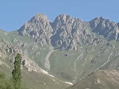 The image shows a mountainous landscape with rugged, rocky peaks under a clear blue sky. The slopes of the mountains are covered in patches of green grass and scree. There are also areas of snow on the higher elevations. A tall, slender green tree stands in the foreground on the left side of the image, with blurred green foliage behind it. The scene appears to be a natural landscape, possibly in a rural or wilderness area, with no visible signs of human habitation or activity, other than possibly a faint dirt track visible on one of the slopes.