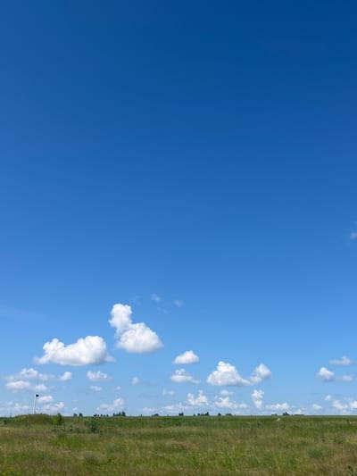 The image depicts a wide, open field under a clear blue sky dotted with fluffy white clouds. The foreground is dominated by tall, green grass with some dried stalks interspersed, suggesting a natural, uncultivated area. In the middle ground, a few scattered trees and shrubs are visible along the horizon line. On the far left of the middle ground, a thin, dark pole with a small rectangular flag at its top stands prominently. The horizon is a flat line separating the field from the sky. The overall impression is one of a rural landscape on a sunny day, likely in or around the city of Mikhailovka, Russia, given the context provided. There are no people or animals visible in the frame.