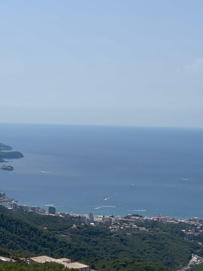 An aerial, eye-level, wide shot captures the expansive blue of the Adriatic Sea meeting a hazy, light blue sky. The horizon line is indistinct due to atmospheric conditions. In the midground, a coastal town with numerous white and light-colored buildings nestles against a verdant, tree-covered mountainside. The buildings are densely packed, forming a continuous urban sprawl along the coast. Numerous boats, some leaving white wakes, are visible on the sea, indicating activity. On the left side of the image, a small, rocky island with some structures is visible in the sea. In the foreground, the densely forested mountainside slopes downwards, with a few modern, low-rise buildings with white roofs scattered among the trees. The scene depicts a sunny day with clear visibility over the sea and coastline of Lapčići, Montenegro.