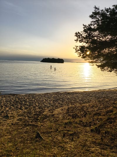 This media file depicts a serene sunset scene at a sandy beach, likely in Motala, Sweden. Two silhouetted figures are wading in the calm, reflective water, their forms small against the vast expanse of the lake. The sun, low on the horizon, casts a warm, golden glow across the water, creating a shimmering path that leads towards the distant shore. A small, tree-covered island is visible in the middle distance, adding to the picturesque landscape.
In the foreground, the textured sand of the beach is dotted with sparse dry grass and pinecones, suggesting a natural, somewhat untamed environment. The branches of a pine tree frame the right side of the image, their dark silhouette contrasting with the bright sky. The sky itself transitions from a pale blue at the top to a soft yellow and orange near the horizon, indicating the time of day is sunset. The overall mood is tranquil and peaceful, evoking a sense of calm and natural beauty. There is no visible text in the image.
