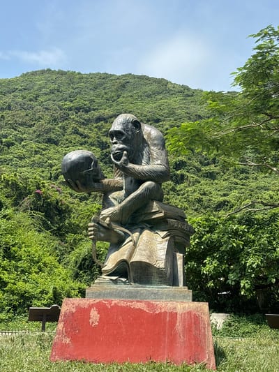 A bronze statue of a chimpanzee is depicted in a seated, contemplative pose, holding a human skull in its left hand and touching its chin with its right hand. The chimpanzee sits atop a stack of books, the topmost of which has the word "DARWIN" inscribed on its spine. The statue is placed on a red, weathered concrete pedestal in an outdoor setting. Behind the statue, a lush, verdant hillside covered in dense foliage rises under a clear blue sky. The environment appears to be a park or garden, with grass and scattered trees visible in the foreground and midground. The overall scene suggests a commentary on evolution and intelligence, with the chimpanzee representing a precursor or related species to humans. The location is identified as Nanwan Village, China.