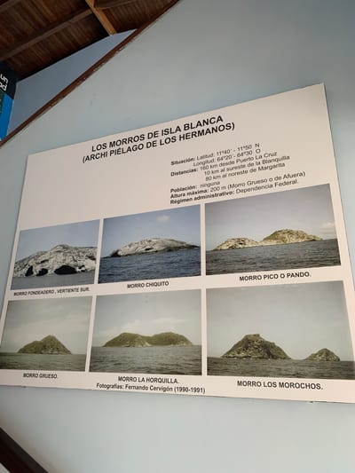 The image is a photograph of a sign or informational display about "LOS MORROS DE ISLA BLANCA (ARCHI PIÉLAGO DE LOS HERMANOS)". The sign is mounted on a light blue wall and has a wooden ceiling structure above it. The display features a title, geographical information (latitude, longitude, distances, population, maximum altitude, administrative region), and six photographs of different rock formations or small islands in the sea. The text describes the location as being in Boca del Río, Venezuela. The photographs are labeled with names such as "MORRO FONDEADERO, VERTIENTE SUR", "MORRO CHIQUITO", "MORRO PICO O PANDO", "MORRO GRUESO", "MORRO LA HORQUILLA", and "MORRO LOS MOROCHOS". The bottom of the sign also states "Fotografías: Fernando Cervigón (1990-1991)". The overall presentation suggests an educational or tourist-oriented display.