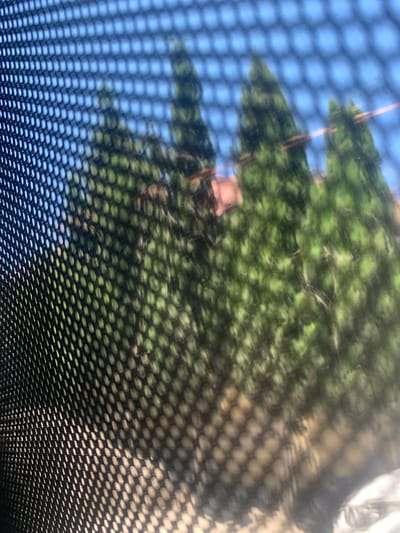The image shows a close-up view of black mesh netting, which partially obscures the background. Through the netting, several tall, green, conical trees are visible, suggesting an outdoor setting. The sky above appears blue. A portion of a reddish-brown structure, possibly a building, can be seen behind the trees. The overall impression is that the photograph was taken from behind a screen or a similar barrier, looking out onto a landscape with trees and architecture. The mesh creates a patterned effect over the entire scene. The image does not provide specific details about people, actions, or interactions. The location in Mardakan, Azerbaijan is not directly discernible from the visual elements alone, but the description of cypress trees and potential architectural style could be consistent with that region.