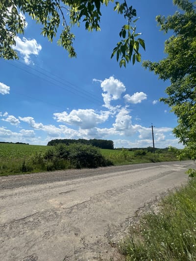 The image depicts a rural landscape on a sunny day, likely in the vicinity of Velykyi Trostianets, Ukraine. A rough, unpaved road dominates the foreground, showing signs of wear and tear with cracks and exposed stones. To the left of the road, a vast green field stretches towards the horizon, possibly a cultivated crop. A dense line of trees forms a dark barrier in the middle distance, separating the field from the sky. In the background, a clear blue sky is dotted with fluffy white clouds. A single utility pole with visible wires stands near the right edge of the road, suggesting the presence of electricity or communication lines. Green foliage from trees frames the top and right sides of the image, casting a slight shade. The scene conveys a sense of peaceful, rural life under a bright summer sky. There are no people or animals visible in the image.
