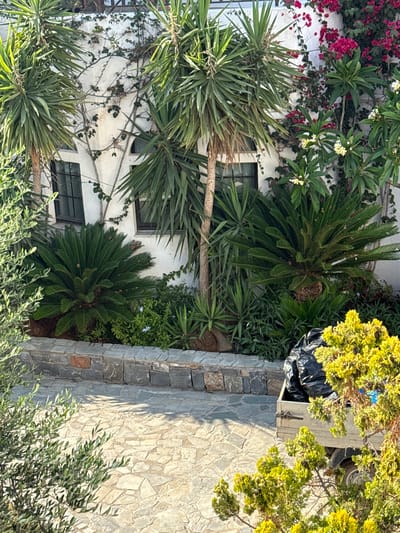 This is a high-angle, full shot of a vibrant, sun-drenched courtyard in Chersonisos, Greece. The scene is dominated by lush greenery, with several types of palm trees, flowering plants, and other foliage creating a tropical ambiance. Pink bougainvillea and small white flowers cascade down a white-washed building, adding pops of color to the scene.

The building itself appears to be a traditional Mediterranean structure with white walls and dark-paned windows. A paved walkway, made of irregular stone tiles, runs along the right side of the image. Part of a light-colored trailer with a black tarp covering its contents is visible on the far right, nestled among bright yellow-green foliage. The lighting suggests it is a bright, sunny day, likely late morning or early afternoon, judging by the strong shadows.

There are no people visible in the image, but the presence of the trailer and the well-maintained plants suggest a residential or perhaps a small business setting. The overall impression is one of a peaceful and well-kept outdoor space, characteristic of a Greek island locale. No text is visible in the image.