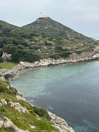 The image captures a serene coastal landscape, likely viewed from a clifftop under an overcast sky. A large, verdant hill dominates the left side of the frame, its slopes densely covered with green vegetation, including trees, bushes, and scrub, interspersed with exposed grey rock formations. Perched atop the distant peak of this hill is a distinct white building, possibly a lighthouse or a small observation post, standing out against the light grey sky.
To the right, the calm, clear sea stretches towards the horizon. Near the shoreline, the water exhibits a striking aquamarine hue, indicating shallow depths and allowing the rocky seabed to be visible. Further out, the water deepens to a darker, more opaque blue. The transition between land and sea is marked by a rugged, rocky coastline composed of light-colored stones and boulders, forming a natural boundary.
In the immediate foreground, a rocky cliff edge, covered with patches of vibrant green grass and scattered small yellow wildflowers, provides a natural frame to the scene. The sky above is uniformly light grey, suggesting an overcast day with soft, diffused lighting, contributing to the tranquil atmosphere. There are no visible people or specific activities taking place, and no discernible text is present. The scene conveys the rugged and pristine beauty of the Datça coastline in Turkey.