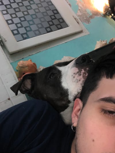 The image shows a close-up of a person and a dog. The person's face is close to the dog's head, possibly in an embrace. The person has dark hair, an ear piercing, and a mole on their cheek. The dog is black and white with some speckled markings on its face. The background includes a window with a diamond-shaped pattern, peeling paint on a light blue wall, and a small orange figurine on the windowsill. There is no definitive information to confirm that this photo was taken in Beccar, Argentina. Therefore, the location detail is not confirmed.
