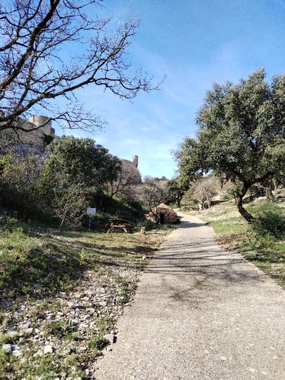 This image captures a sunlit outdoor scene, likely a historical or natural park area, featuring a paved pathway, abundant vegetation, and ancient stone ruins in the background.
The central element is a light gray, possibly asphalt or concrete, pathway that extends from the foreground into the mid-distance, curving slightly to the right. Numerous shadows from unseen trees stretch across the path, indicating a sunny day.
On the left side of the path, the ground slopes upwards. It is covered with sparse green grass and numerous small rocks and stones. Further up the slope, there are various green bushes and trees. A large, bare-branched tree dominates the upper left corner, its intricate network of dark branches silhouetted against the bright blue sky. Nestled on this grassy slope, to the left of the path, a wooden picnic table with benches is visible. Behind the picnic table, a small white sign on a post stands amongst the greenery, though its text is illegible. Further back and slightly to the right of the picnic table, there is a small, low, rounded structure made of dry stacked stones, resembling a traditional shepherd's hut or *borie*, with a small arched opening.
On the right side of the path, more trees with lush green foliage stand, suggesting they might be evergreen species like holm oaks or olive trees. The ground here also appears green and slightly sloped.
In the mid-ground and background, perched atop a rocky, tree-covered hill, are the remnants of a stone castle or fortified structure. Portions of a defensive wall and a prominent rectangular stone tower are clearly visible against the sky. The ruins suggest a long history for the location.
The sky is a vibrant, clear blue with only very faint, wispy clouds visible in places. The strong shadows cast by the trees on the path and the bright lighting suggest it is either late morning or early afternoon. The overall atmosphere is one of peaceful natural beauty intertwined with historical significance. No discernible text is legible within the image.