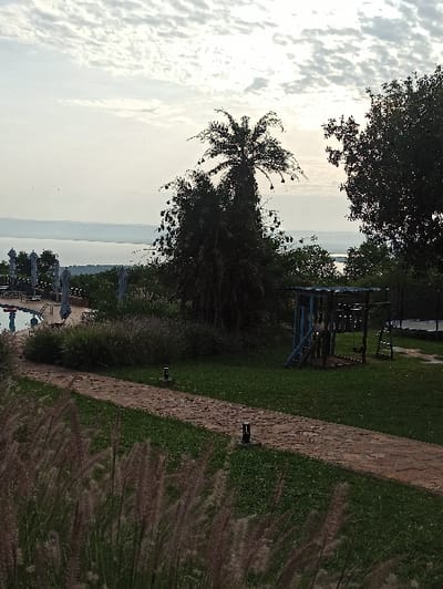 A landscape photograph shows a body of water under a cloudy sky, framed by a prominent palm tree on the left and a grassy area on the right. A stone pathway cuts through the grass, with decorative foliage along its edge. A small structure resembling a gazebo is visible in the mid-ground. The scene conveys a sense of tranquility and relaxation.