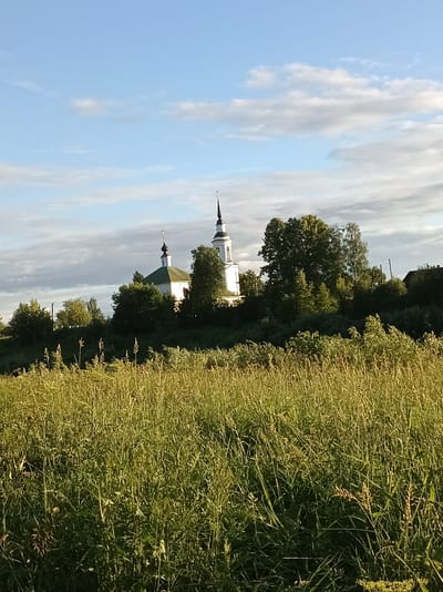 The image depicts a landscape scene in Buy, Russia, featuring a white church with green roofs and dark spires. The church is situated on a hill, surrounded by lush green trees. In the foreground, tall grass and wildflowers create a natural, rustic setting. The sky above is a clear blue, with scattered white clouds. The overall atmosphere is serene and tranquil, characteristic of a rural Russian environment.