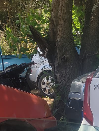 In Ανδραβίδα, Greece, the image depicts multiple vehicles parked near a tree. A red car is partially visible in the foreground. Behind it, there appears to be a blue vehicle and a white car with a visible tire and rear bumper. The tree is prominent in the image, with branches and leaves obscuring parts of the vehicles. The lighting suggests it is daytime.