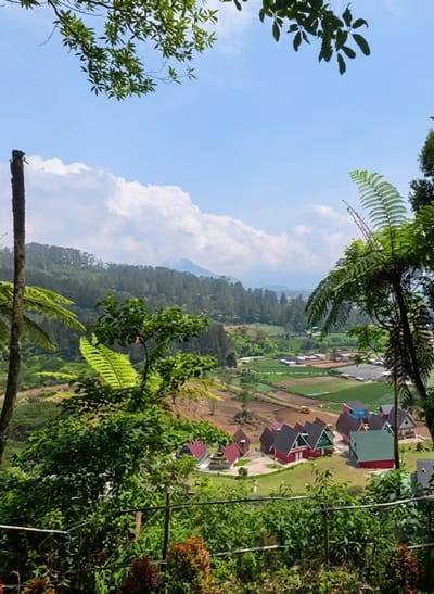 This media file captures a scenic view of a rural village nestled in a valley in Laugumba, Indonesia. The scene is bathed in the bright light of a sunny day with scattered white clouds against a clear blue sky. The foreground is dominated by lush green foliage, including large ferns and leafy branches that frame the view, suggesting the vantage point is from a higher elevation.
In the mid-ground, a cluster of colorful houses with distinctive pitched roofs in red, green, and blue creates a charming visual focus. These houses are arranged on a well-maintained grassy area, with paved paths connecting them. Beyond the village, the landscape unfolds into terraced fields, indicative of agricultural activity, with some plots appearing to be under cultivation. A yellow tractor is visible in one of these fields, hinting at ongoing farm work. The background features rolling hills densely covered with pine trees, leading to a hazy mountain range in the distance.
The overall impression is one of tranquility and natural beauty. The vibrant colors of the houses and the verdant landscape evoke a sense of peace and a pleasant atmosphere. The time of day appears to be late morning or early afternoon, given the strong sunlight and clear sky. There is no visible text in the image.