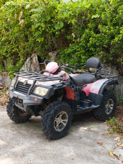 A red and white all-terrain vehicle (ATV) is parked on a concrete surface in front of a lush, green, overgrown vegetation wall. The ATV is positioned slightly angled towards the viewer, with its front facing to the left. The vehicle has large, knobby tires, a black seat with a backrest, a pink fuel tank, and a black metal rack on the front and back. The surrounding environment appears to be outdoors, possibly in a natural or semi-natural setting, with rocks and fallen leaves visible near the base of the vegetation. The lighting suggests it is daytime, with soft shadows. The ATV appears to be in a state of disuse or storage, with some dust and dirt visible on its surfaces. The background consists of dense foliage and rocky outcrops. No people are present in the image.