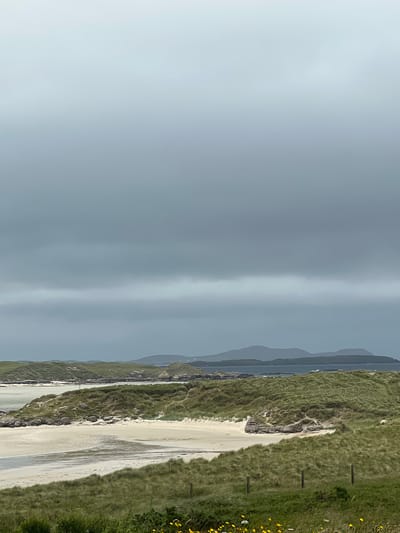 The image depicts a coastal landscape with sand dunes covered in green grass. The foreground features a rough fence and some yellow flowers. In the middle ground, a sandy beach stretches out, with some rocks and sparse vegetation. The background shows a body of water and distant, hazy mountains under a cloudy, overcast sky. The scene is likely located near Bunbeg, Ireland, given the characteristic coastal terrain. There are no people or animals visible in the image. The environment appears natural and undeveloped.