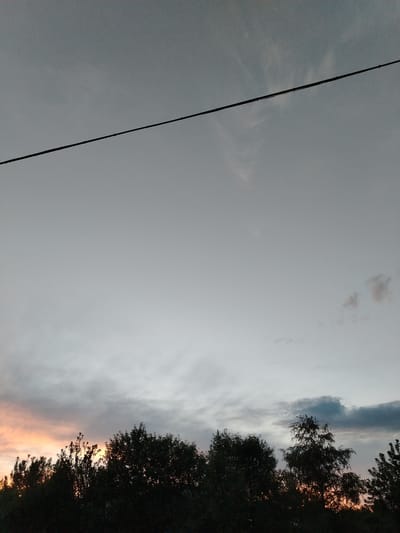 The image captures a dusky sky above a silhouette of trees, likely in the rural area of Zhernov rural district, Kazakhstan. A dark, thin wire stretches diagonally across the upper portion of the frame, against a pale gray sky with subtle wispy clouds. Below the wire, the sky transitions to darker tones, with hints of orange and pink on the left side, suggesting the last light of sunset. The foreground is dominated by the dark, dense foliage of trees and bushes, obscuring any ground detail. No people or specific objects are discernible within the scene, which appears to be a natural landscape at twilight.