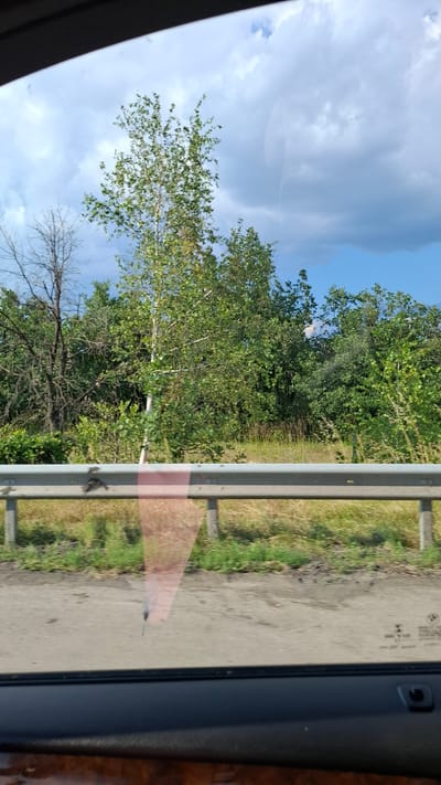 This is a photo taken from inside a vehicle, looking out a window towards a roadside scene. In the foreground, the dark interior of the car is visible at the bottom. The middle ground features a metal guardrail running horizontally across the image. Beyond the guardrail is a roadside verge with green grass and some dry vegetation. Further back, a dense line of trees and bushes forms a green backdrop. Above the trees, a blue sky with fluffy white and grey clouds is visible. The image appears to be taken during the daytime. There are no people or animals visible in the scene. There is no discernible location within the city of Lesichovo, Bulgaria.