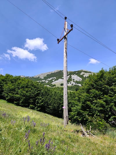 A rustic wooden utility pole stands in the foreground, supporting electrical wires against a bright blue sky dotted with sparse white clouds. The pole is weathered and appears old, with metal crossbars and insulators attached to it. To the left of the pole, a grassy slope is covered with green grass and patches of purple wildflowers. Behind the slope, a dense forest of green trees stretches across the landscape. In the background, rocky, mountainous terrain rises, with some areas showing exposed rock and sparse vegetation. The scene suggests a rural or natural setting, possibly in the mountains near Dolovi, Montenegro.
