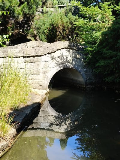 This media file depicts a stone bridge arching over a body of water, likely a canal or stream. Lush green foliage, including trees and tall grasses, surrounds the bridge and water. Sunlight casts dappled shadows on the bridge and the water's surface, suggesting it is a bright, sunny day. The reflection in the water shows the bridge, trees, and a clear blue sky, indicating pleasant weather. The scene appears to be a tranquil natural setting, possibly a park or garden. There are no people or visible text in the image. The location context is Goczałkowice-Zdrój, Poland.