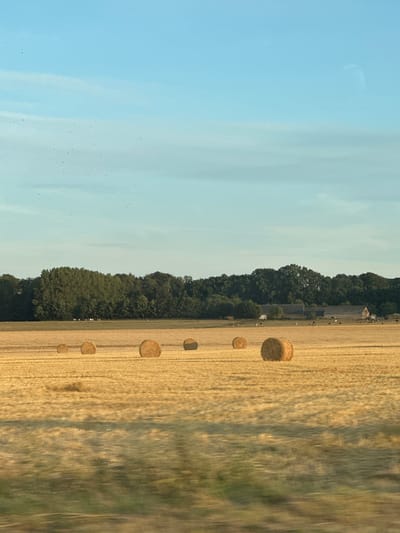 The image shows a rural landscape with a field of hay bales in the foreground. In the midground, there is a line of trees bordering the field, and behind the trees, there are buildings that appear to be a farm. Several cows are visible grazing near the farm buildings. The sky is clear with a few wispy clouds. The overall impression is one of a peaceful, rural setting. The motion blur in the foreground suggests the photo was taken from a moving vehicle. The location is Alvimare, France.