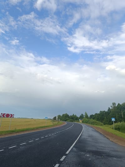 A wet, paved asphalt road curves to the right through a rural landscape under a partly cloudy sky with a hint of a rainbow. On the left side of the road, a field of golden crops is bordered by a grassy verge and a roadside sign with red and white chevron markings indicating a sharp curve. Further down the road on the left, a pedestrian crossing sign is visible. On the right side of the road, a dense line of green trees forms the background, with a pedestrian crossing sign also present. The road surface is dark and glistening, suggesting recent rain, with small pebbles scattered across it. The scene appears to be in the vicinity of Більдзюгскі сельскі Савет, Belarus.