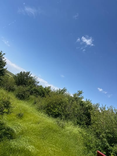 The image shows a rural scene in Topchii, Bulgaria. The sky is blue with scattered clouds. On the right side of the image is a slope covered in green grass and dense vegetation, including trees and bushes. The viewpoint is looking upwards towards the sky and along the slope. The image is angled, suggesting it was taken from a tilted perspective or perhaps from a moving vehicle.