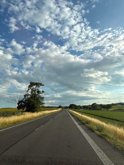 The image shows a paved road stretching into the distance, flanked by fields of sunflowers on the left and green crops on the right. Tall, dry grass lines the shoulders of the road. A solitary, large tree stands near a power line tower on the left side of the road, with a field of sunflowers behind it. The sky is a vibrant blue, dotted with fluffy white clouds. The road appears to be in a rural setting, likely in or near the village of Veľaty, Slovakia, given the context. There are no people visible in the image. The scene captures a serene, sunlit countryside landscape with agricultural elements and infrastructure.