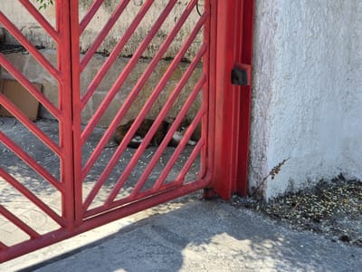 The image shows a red metal gate in front of a white stucco wall. Two cats are lying on the ground behind the gate. One cat is partially visible and appears to be a tabby. The other cat is mostly hidden by the gate. The ground is paved with concrete and there are some small white flowers scattered on the ground. The scene appears to be located outdoors in a residential area. The overall impression is of a quiet, peaceful scene.