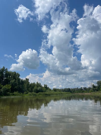 This is a full-frame, eye-level, landscape photograph taken on a sunny day in Nezhinka, Russia. The image depicts a wide, calm river reflecting a bright blue sky filled with fluffy white cumulus clouds. The riverbank is lined with dense, lush green trees and vegetation. The overall scene conveys a peaceful and natural ambiance, characteristic of a rural or park-like setting within the city of Nezhinka.