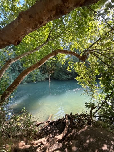In the city of Mevoot HaHermon Regional Council, Israel, a serene natural scene unfolds by a tranquil river. The image captures a body of water with a gentle current, its surface reflecting the dappled sunlight filtering through a canopy of lush green leaves. A thick tree branch, extending from the foreground, arches over the river, supporting a rope swing that hangs suspended above the water. The riverbank is characterized by exposed tree roots and dense vegetation, with a backdrop of trees and foliage on the opposite bank. The overall impression is one of a secluded, idyllic spot, perfect for relaxation and recreation.