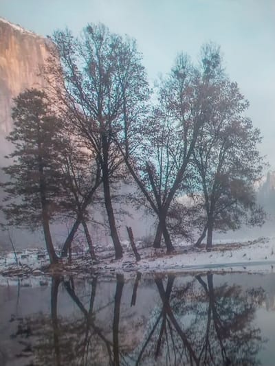 The image depicts a winter landscape with a body of water reflecting the surrounding scenery. Several trees, partially bare of leaves, stand on the snow-covered bank of the water. In the background, a large, sheer cliff face dominates the left side of the frame, with a pale sky above. The scene suggests a natural, perhaps mountainous or park-like environment. The specific location in Nizhneye Myachkovo, Russia, is not visually discernible from the provided image. There are no people or animals visible in the frame. The overall impression is one of a tranquil, wintry natural scene.