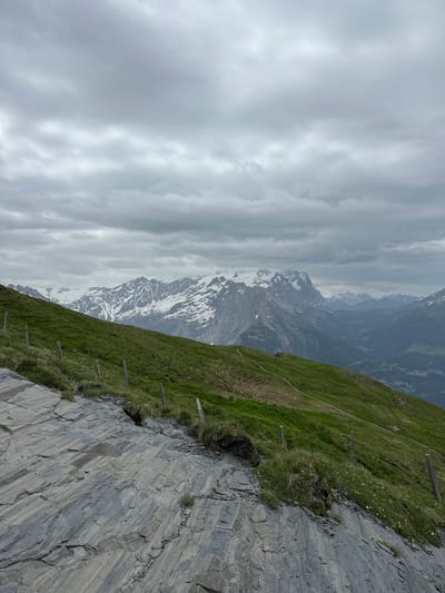 A mountainous landscape is depicted under a cloudy sky. The foreground features a rocky incline with visible strata, leading to a grassy slope dotted with small white flowers and wooden posts. In the midground, the green mountain slopes are interspersed with winding paths. The background is dominated by a range of snow-capped mountains, with a valley visible in the distance. The scene is one of natural alpine scenery in Hasliberg Reuti, Switzerland.
