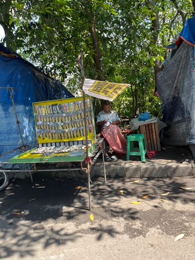 A street vendor in Sumokali, Indonesia, is seated under a canopy, working on a table displaying an assortment of watches. The vendor, an adult male, is wearing a light-colored short-sleeved shirt and dark pants. He is seated on the ground, with a pink cloth draped over his lap, and appears to be sewing or mending.

The vendor's stall is set up on a concrete curb next to a street. The stall itself is a multi-tiered display cart. The top tier showcases numerous watches arranged in rows, with many of them appearing to be digital or analog quartz watches with various colored straps. The lower tier of the cart displays more watches, along with what appear to be watch parts or accessories, possibly batteries.

To the left of the cart, a large blue tarp is erected, forming part of the stall's shelter. To the right, another tarp, this one a grayish-blue and red, is also set up. Behind the vendor, there is a wooden crate and a bright blue plastic bag. A small green plastic stool is placed near the vendor.

The environment is outdoors, with lush green trees providing shade over the stall. The ground is paved with concrete, and fallen leaves are scattered across the surface, suggesting a tropical or sub-tropical climate. The lighting indicates it is daytime, with strong sunlight creating dappled shadows on the ground from the trees. The overall scene depicts a typical street-side marketplace or repair stall.