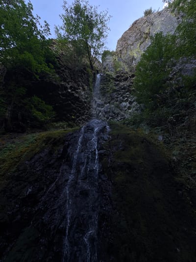 A vertical composition depicts Wyeth Falls, located in Wyeth, Oregon, United States. A narrow stream of water cascades down a dark, columnar basalt cliff face, appearing white and turbulent as it descends. The rock face is heavily textured, with visible fractures and a covering of dark green moss and lighter green lichen, particularly on elevated sections. Dense green deciduous foliage and trees flank the cliff on both sides, with additional vegetation growing along upper ledges. A slender tree with light green leaves protrudes directly from the upper part of the cliff, adjacent to the waterfall's origin point. The upper sky is light blue and brightly illuminated, while the lower two-thirds of the scene are predominantly in shadow, rendering the water and rock in darker tones. No human subjects, structures, or artificial objects are present.